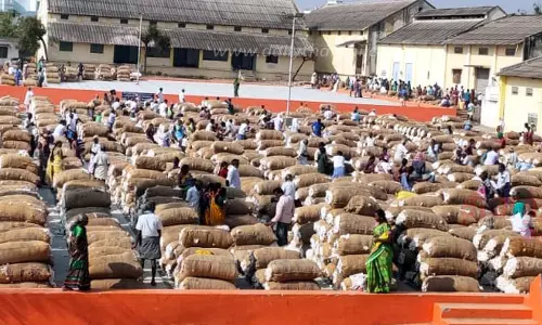 ரூ.1 கோடிக்கு பருத்தி ஏலம்