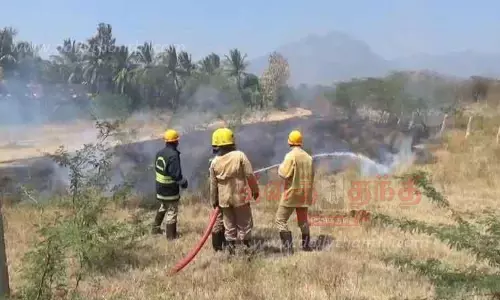 வயல் பகுதியில் தீ விபத்து