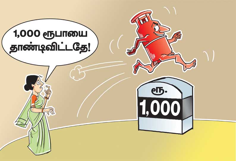 வீடுகளுக்கு பயன்படுத்தப்படும்கியாஸ் சிலிண்டர் விலை ரூ.1,105 ஆக உயர்வு