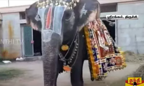 திருச்சி: சிறப்பாக கொண்டாடப்பட்ட கோவில் யானை ஆண்டாளின் பிறந்தநாள்
