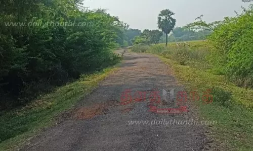 தென்கோவனூர் சாலை சீரமைக்கப்படுமா?