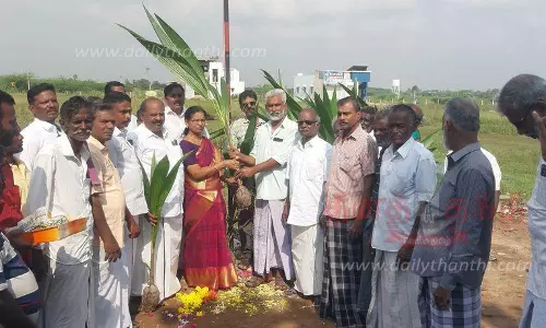 300 பேருக்கு தென்னங்கன்றுகள்