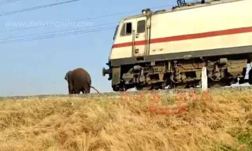 ரெயில் அடிபடாமல் தப்பிய மக்னா யானை