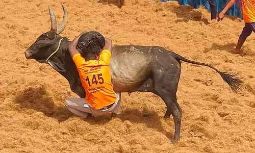 கல்லக்குடியில் ஜல்லிக்கட்டு; 744 காளைகள் சீறிப்பாய்ந்தன