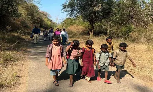 பொள்ளாச்சியில் இருந்து சர்க்கார்பதிக்கு பஸ் வசதி இல்லாததால் பொதுமக்கள் அவதி