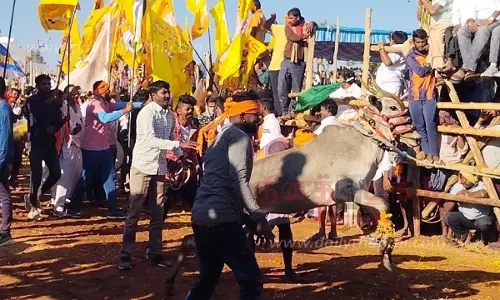 பேரிகை அருகே400 காளைகள் பங்கேற்ற எருதுவிடும் விழா30 பேர் காயம்