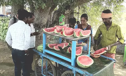 தர்பூசணி விற்பனை அமோகம்