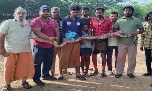 மீன்வலையில் சிக்கிய மலைப்பாம்பு