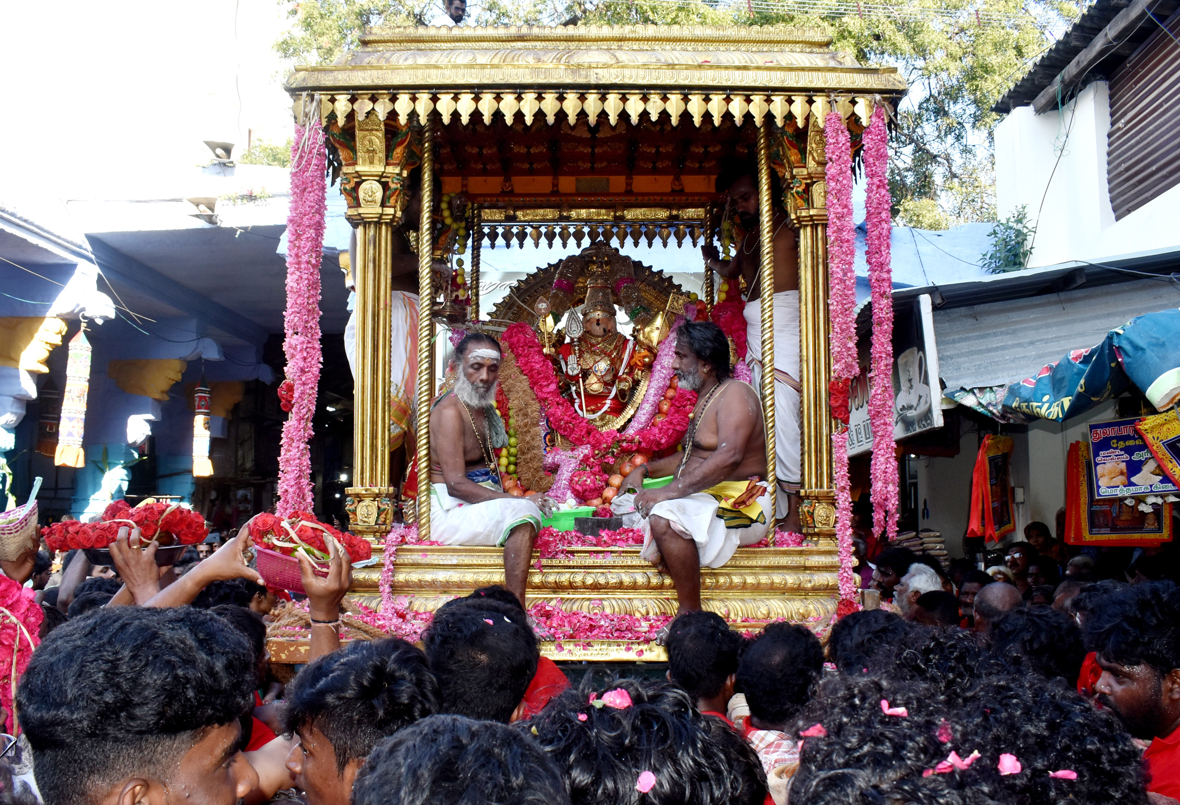 திருச்செந்தூர் கோவில் மாசித் திருவிழா:சுவாமி சண்முகர் சிவப்பு சாத்தி கோலத்தில் தங்க சப்பரத்தில் எழுந்தருளி வீதி உலா