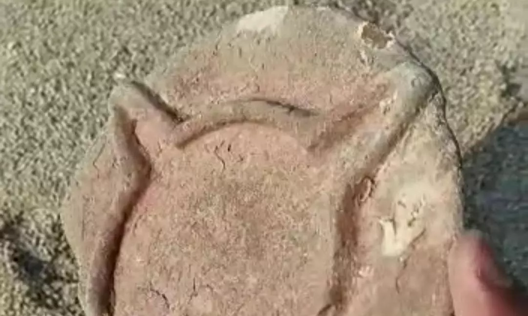 சங்ககால அகல் விளக்குகள் கண்டெடுப்பு