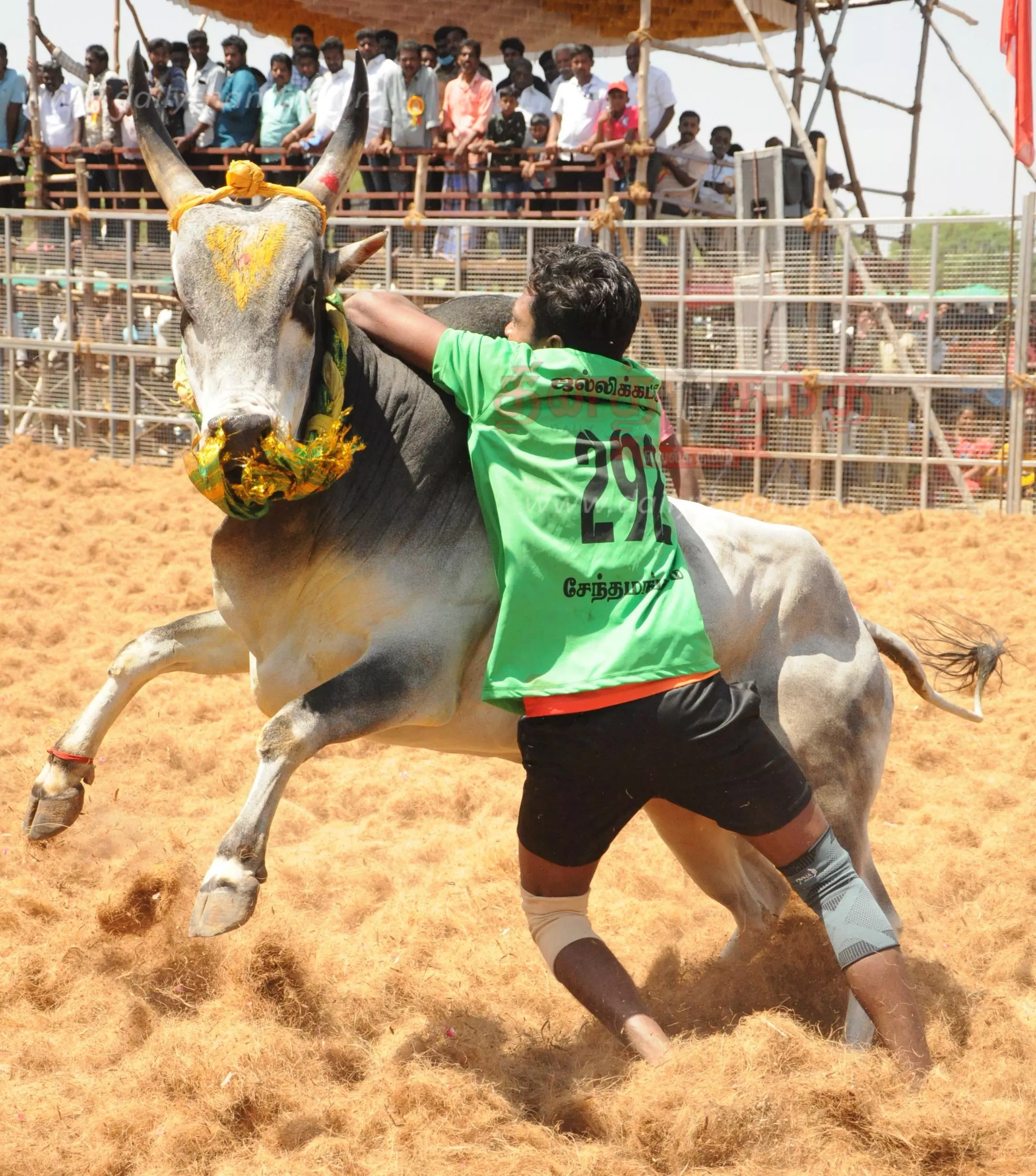 சேந்தமங்கலத்தில் கோலாகலமாக நடந்த ஜல்லிக்கட்டு:காளைகளை தீரத்துடன் அடக்கிய வீரர்கள்மாடுகள் முட்டியதில் 4 பேர் காயம் சேந்தமங்கலத்தில் கோலாகலமாக நடந்த ஜல்லிக்கட்டு:காளைகளை தீரத்துடன் அடக்கிய வீரர்கள்மாடுகள் முட்டியதில் 4 பேர் காயம்