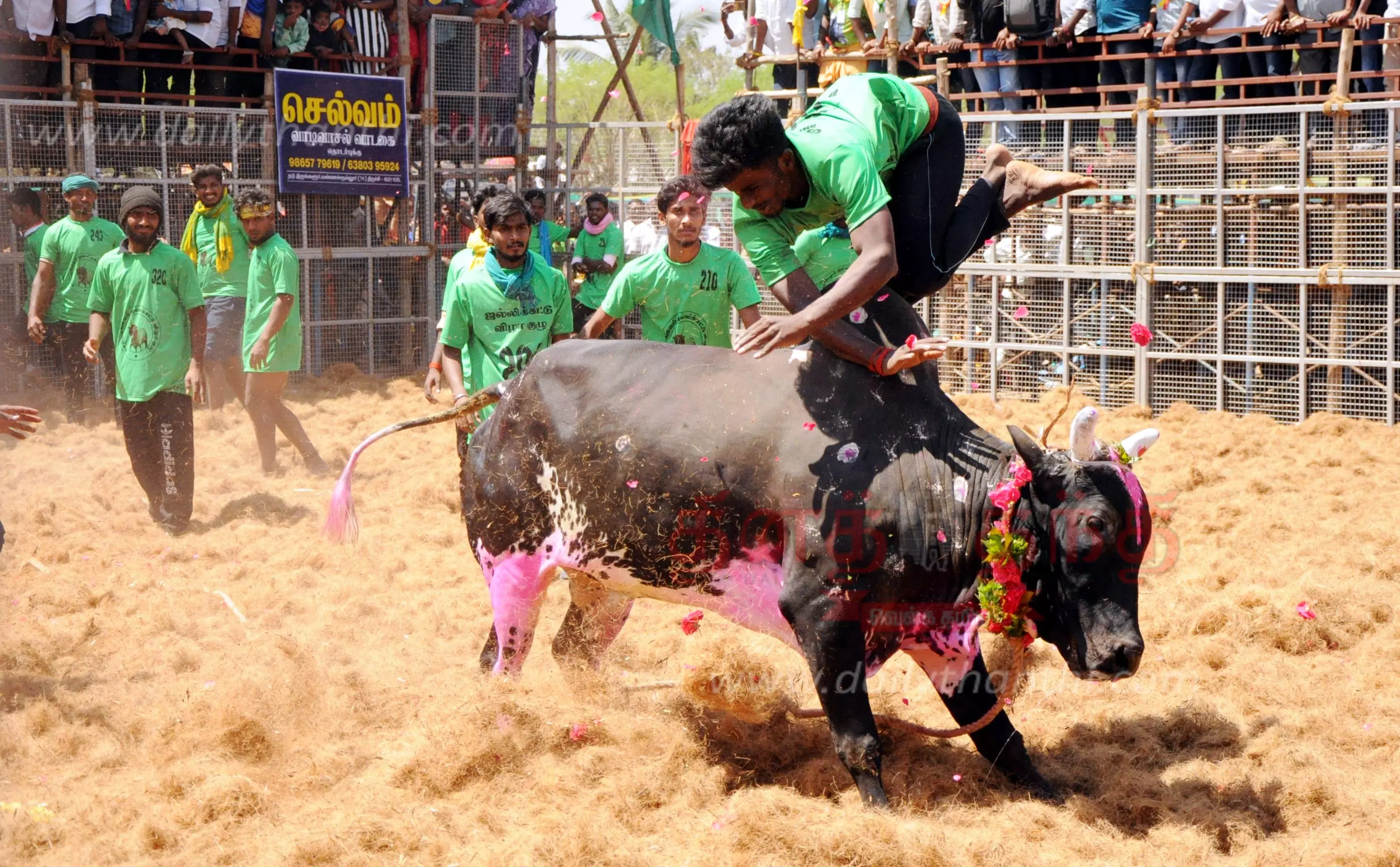 சேந்தமங்கலத்தில் கோலாகலமாக நடந்த ஜல்லிக்கட்டு:காளைகளை தீரத்துடன் அடக்கிய வீரர்கள்மாடுகள் முட்டியதில் 4 பேர் காயம் சேந்தமங்கலத்தில் கோலாகலமாக நடந்த ஜல்லிக்கட்டு:காளைகளை தீரத்துடன் அடக்கிய வீரர்கள்மாடுகள் முட்டியதில் 4 பேர் காயம்