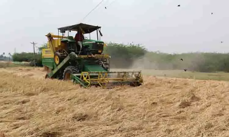 நெல் அறுவடை பணி தீவிரம்