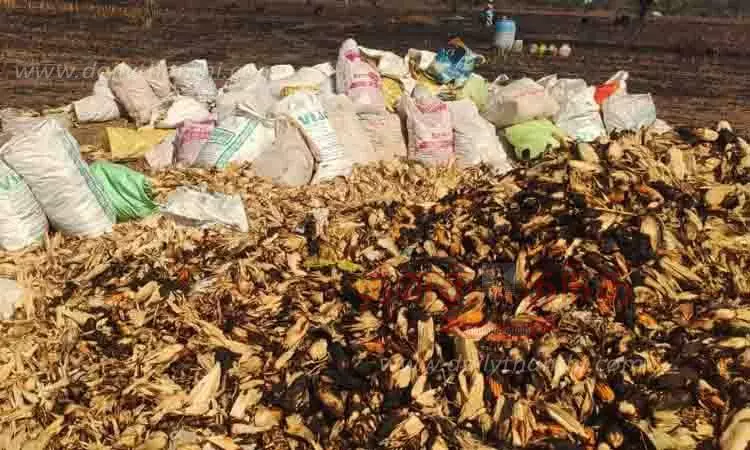 80 மூட்டைகள் மக்காச்சோளம் தீயில் எரிந்து நாசம்