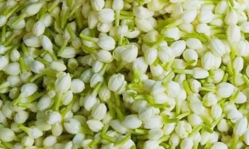 முகூர்த்த நிகழ்ச்சி அதிகம் உள்ளதால் பூக்களின் விலை கிடுகிடு உயர்வு முகூர்த்த நிகழ்ச்சி அதிகம் உள்ளதால் பூக்களின் விலை கிடுகிடு உயர்வு
