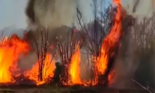 நீலகிரி: முதுமலை புலிகள் காப்பகத்திற்கு உட்பட்ட மசினகுடி வன பகுதியில் பயங்கர காட்டுத்தீ நீலகிரி: முதுமலை புலிகள் காப்பகத்திற்கு உட்பட்ட மசினகுடி வன பகுதியில் பயங்கர காட்டுத்தீ