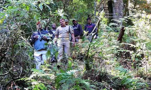 பறவைகள் கணக்கெடுக்கும் பணி