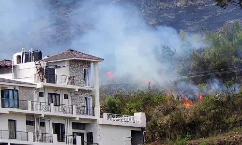 கொழுந்து விட்டு எரிந்த காட்டுத்தீ