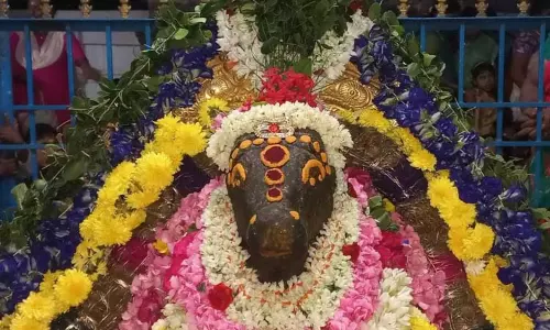 கள்ளக்குறிச்சி பகுதிசிவன் கோவில்களில் சனி பிரதோஷ வழிபாடு