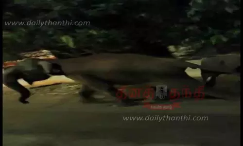 கோவைப்புதூர் குடியிருப்புக்குள் 6 காட்டு யானைகள் புகுந்தன