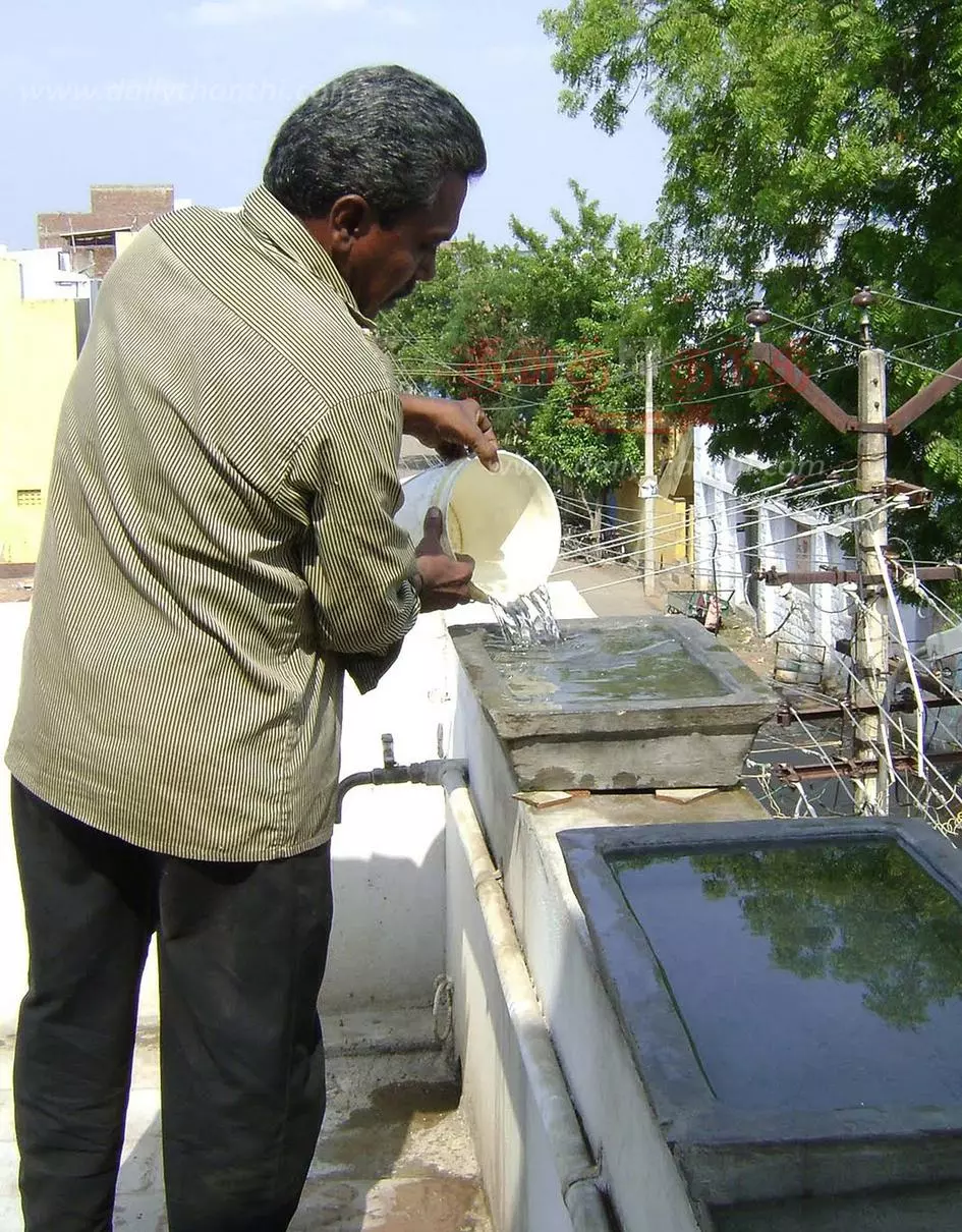 பறவைகளின் பசி, தாகம் தீர்ப்போம் பறவைகளின் பசி, தாகம் தீர்ப்போம்