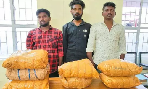 ஆந்திராவில் இருந்து ரெயிலில் கடத்திய 14 கிலோ கஞ்சா பறிமுதல்; 3 பேர் கைது ஆந்திராவில் இருந்து ரெயிலில் கடத்திய 14 கிலோ கஞ்சா பறிமுதல்; 3 பேர் கைது