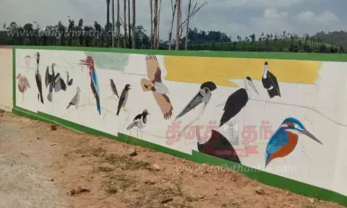 இயற்கை வனவள பாதுகாப்பு குறித்து சுவர்களில் பறவைகள், வனவிலங்குகள் ஓவியம் வரையும் பணி தொடங்கியது இயற்கை வனவள பாதுகாப்பு குறித்து சுவர்களில் பறவைகள், வனவிலங்குகள் ஓவியம் வரையும் பணி தொடங்கியது