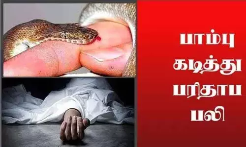 பாம்பு கடித்து பெண் சாவு பாம்பு கடித்து பெண் சாவு