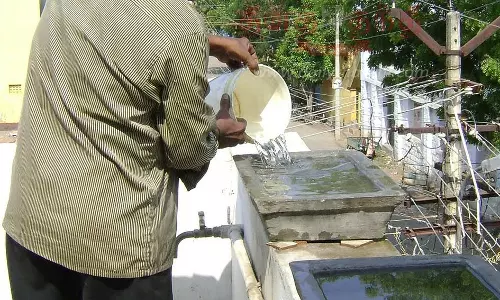 பறவைகளின் பசி, தாகம் தீர்ப்போம்