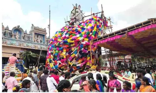 பெருங்காரையடி மிண்ட அய்யனார் கோவில் குதிரை சிலைக்கு காகிதப்பூ மாலைகள்