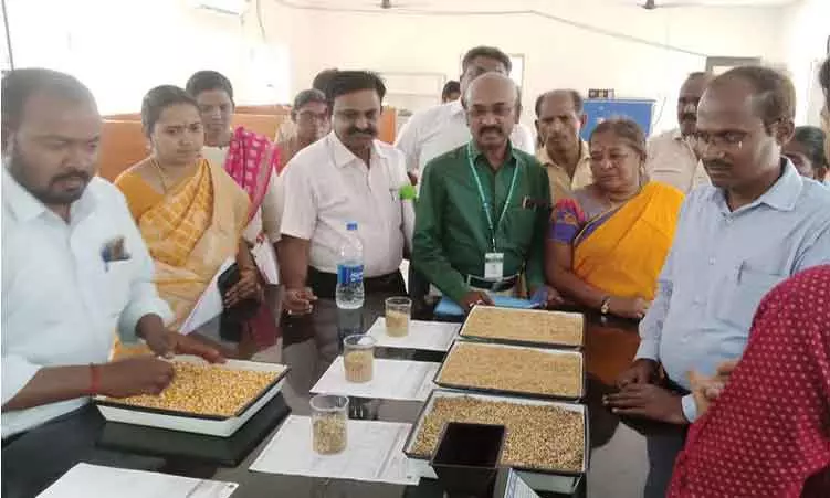 வேளாண்மை இயக்குனர் ஆய்வு