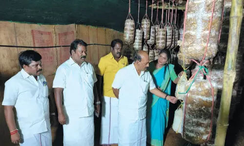 படப்பையில் காளான் வளர்ப்பு மற்றும் விற்பனை மையம்