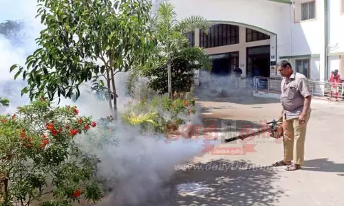 கொசு மருந்து அடிக்கும் பணி தீவிரம்