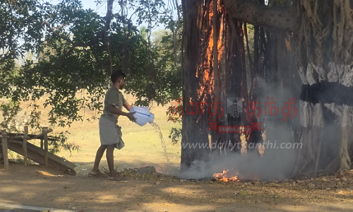 கொழுந்து விட்டு எரிந்த பழமையான ஆலமரம்; கண்டு கொள்ளாத வணிகர்கள் கொழுந்து விட்டு எரிந்த பழமையான ஆலமரம்; கண்டு கொள்ளாத வணிகர்கள்