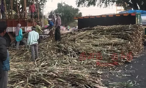 கரும்பு ஏற்றி சென்ற டிராக்டர் கவிழ்ந்தது