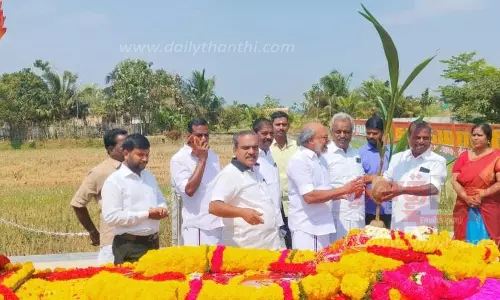 தென்னங்கன்று வழங்கும் நிகழ்ச்சி