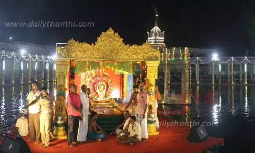 நெல்லையப்பர் கோவிலில் அப்பர் பெருமான் தெப்பத்திருவிழா