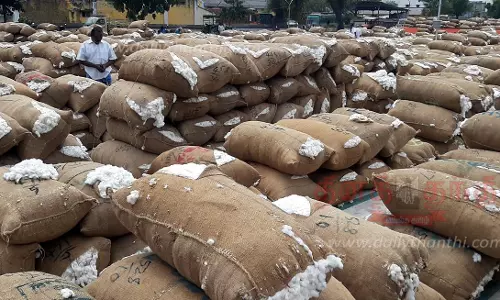 ரூ.1 கோடிக்கு பருத்தி ஏலம் ரூ.1 கோடிக்கு பருத்தி ஏலம்