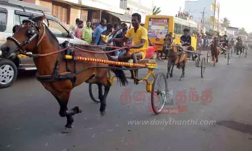 காரைக்குடி அருகே கோவில் தேர் திருவிழாவையொட்டி குதிரை வண்டி பந்தயம்