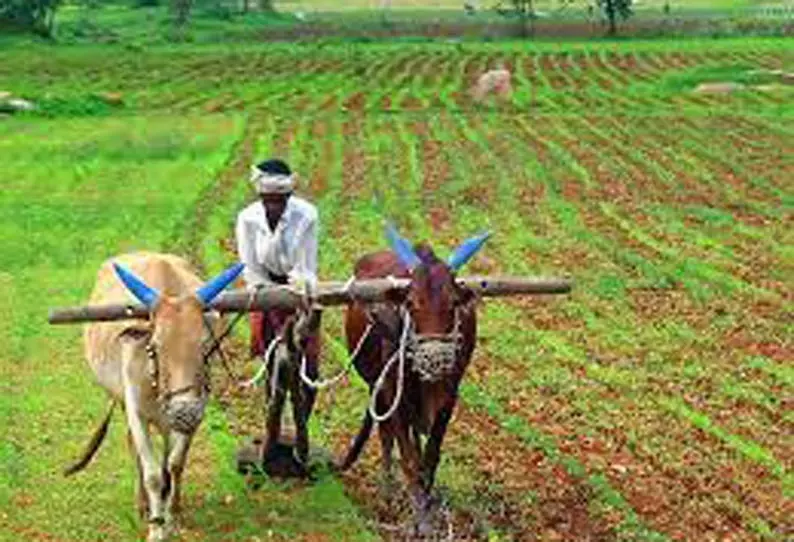 விவசாயிகளுக்கு ரூ.6 ஆயிரம் உதவிதொகை, ரூ.1-க்கு பயிர் காப்பீடு விவசாயிகளுக்கு ரூ.6 ஆயிரம் உதவிதொகை, ரூ.1-க்கு பயிர் காப்பீடு