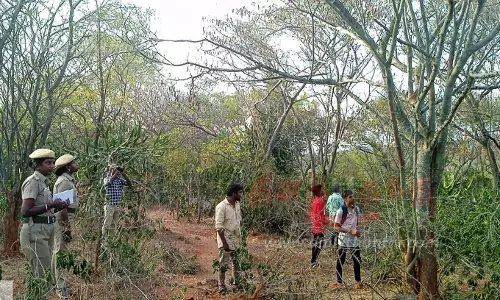 128 வகையான பறவை இனங்கள் உள்ளன