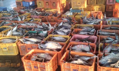 2-வது நாளாக மீனவர்கள் மீன்பிடிக்கச் செல்லவில்லை 2-வது நாளாக மீனவர்கள் மீன்பிடிக்கச் செல்லவில்லை