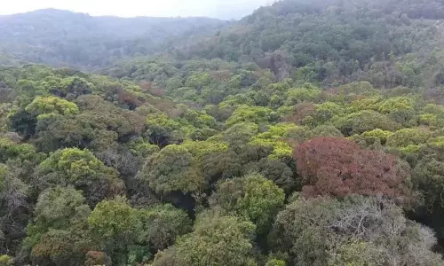 பேரிஜம் ஏரிக்கு செல்ல சுற்றுலா பயணிகளுக்கு தடை