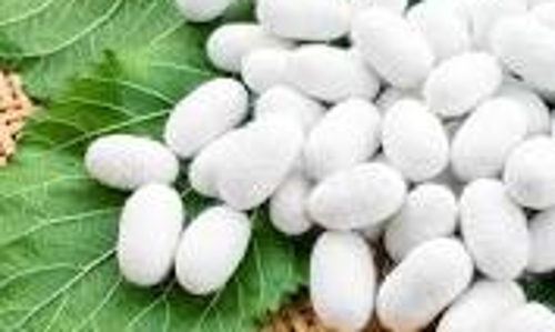 தர்மபுரி ஏல அங்காடிக்குபட்டுக்கூடுகள் வரத்து அதிகரிப்பு