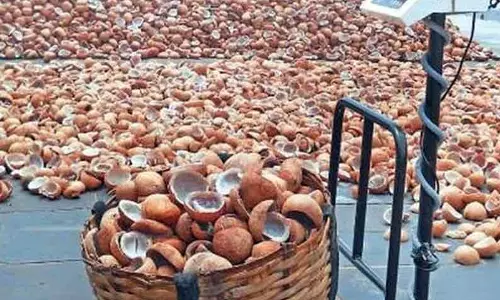 ரூ.5¼ லட்சத்துக்கு தேங்காய் பருப்பு ஏலம்