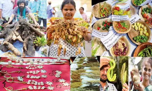கிடைக்கப்பெறாத கிழங்கு வகைகள்... கண்டிராத காய்கறிகள்... அரிய அரிசி ரகங்கள்...