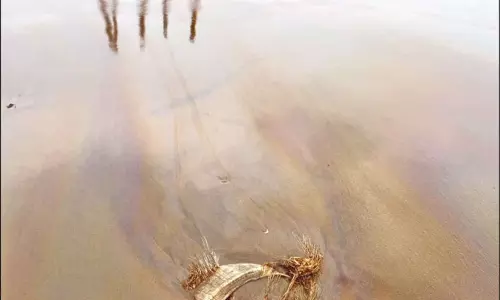 நாகூர் கடற்கரையில் குழாய் உடைந்து மீண்டும் கச்சா எண்ணெய் வெளியேறியது