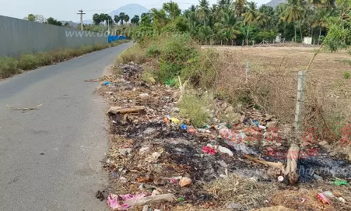 சாலையோரம் கொட்டப்படும் குப்பைகளால் சுகாதார சீர்கேடு