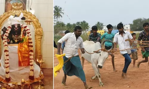 தப்புக்குண்டு லட்சுமி நரசிங்கப்பெருமாள் கோவிலில் பொங்கல் விழா