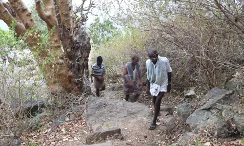 தேனி-விருதுநகர் மாவட்டத்தை இணைக்கும் மலைப்பாதை திட்டம் நிறைவேறுமா?; பொதுமக்கள் எதிர்பார்ப்பு
